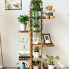 Small Space Styling: Transform Your Home With a 6 Tier Indoor Plant Stand - Berkeley Haven
