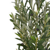 6' Artificial Olive Tree with Pot - Berkeley Haven