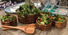7 Piece - Extra Large Salad Bowl with Servers and 4 Individuals - Berkeley Haven