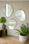Brass Framed Organic Shaped Mirrors Set Of Three - Berkeley Haven