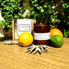 Citrus + Sage Soy Wax Candle - Made in Brooklyn - Support Small - Berkeley Haven