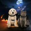 Halloween Pet Bat Wings Costume Cat and Dogs - Berkeley Haven
