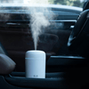 Portable Air Humidifier Aroma Essential Oil Diffuser for Car Home - Berkeley Haven