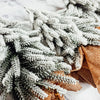 Snow Christmas Trees NEW - Berkeley Haven