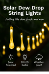 Solar Dew Drop String Lights – 20 LED Outdoor Garden Holiday Lights - Berkeley Haven