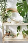 Space Clearing Candle/ Intention Candle / Organic Soy Candle / Candle - Berkeley Haven